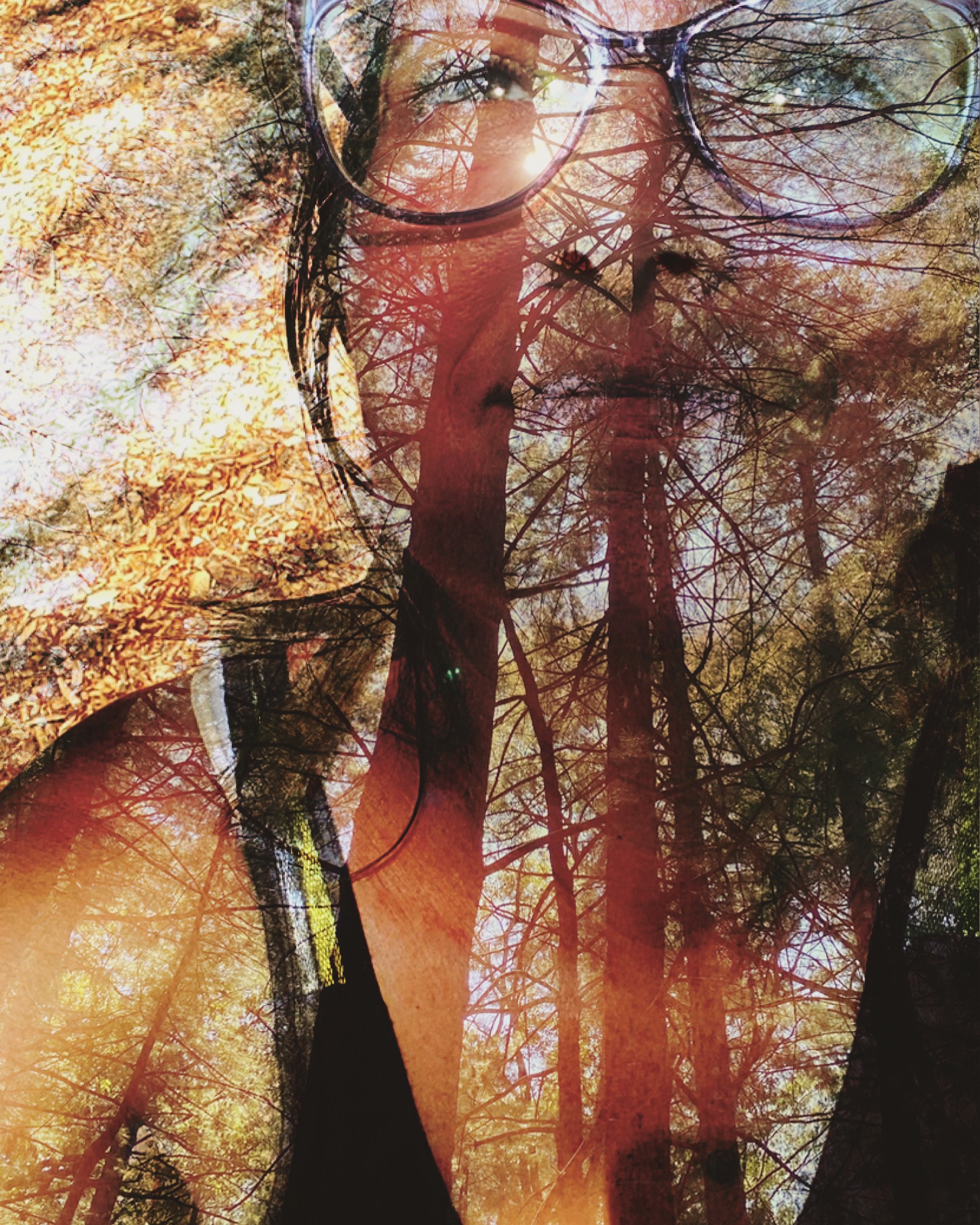 Alana Garrigues, the author and artist of this site, is pictured looking up at the sky on a sunny day in the forest. Overlaid on the photo is an image of the forest, looking up to the tree canopy and through to the sunshine. The image is two photographs put together into one, by the FotoDa app.