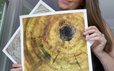 Prints for Your Home: Bring Nature Inside with Tree Ring Prints