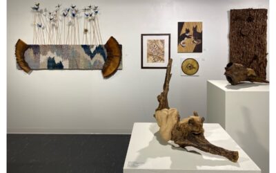 Flora and Fauna through December 14 at Mary Cosgrove Dolphin Gallery